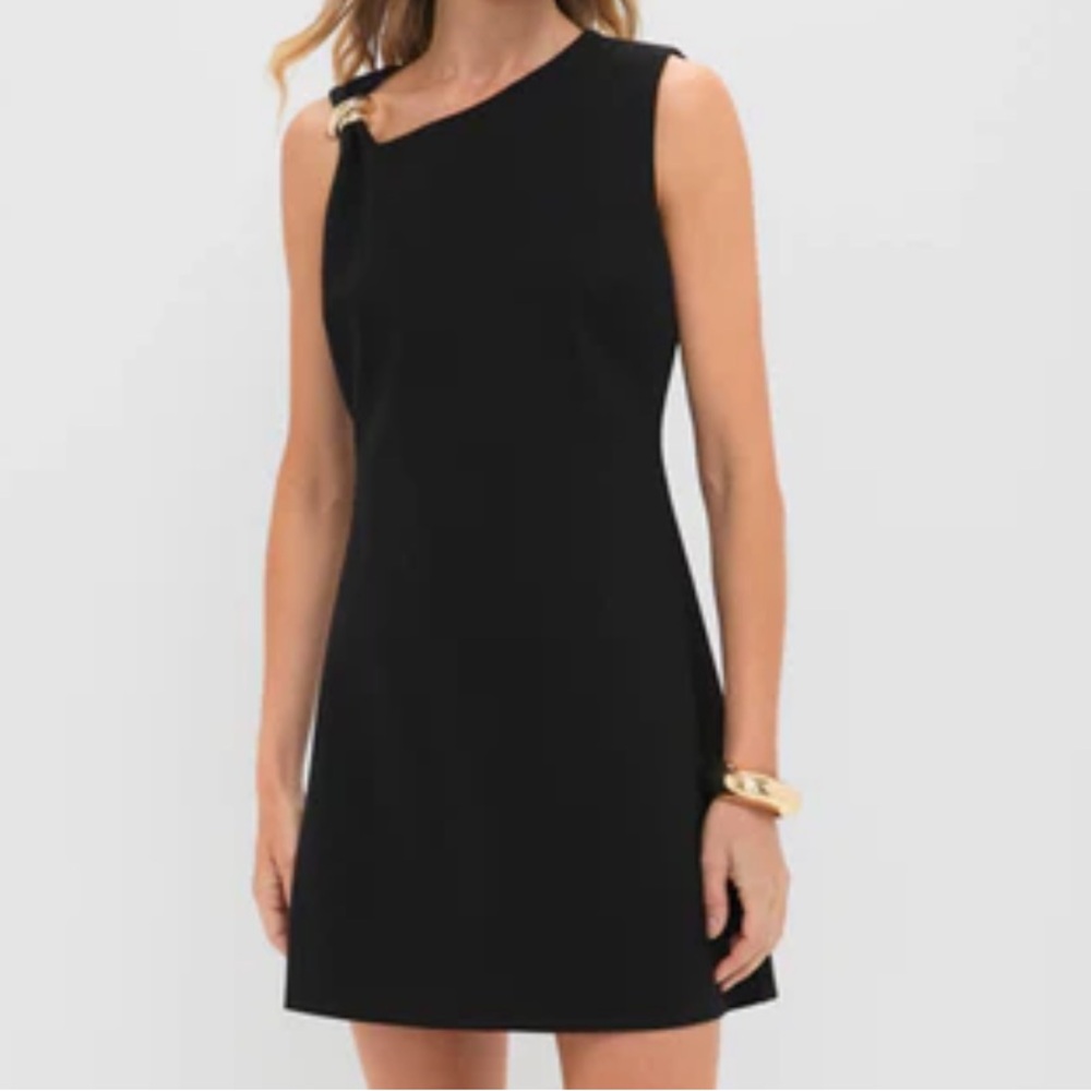 Elegant Black Asymmetrical Angelique Mini Dress